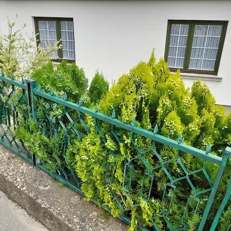 Bajka Daire Valjevo Dış mekan fotoğraf
